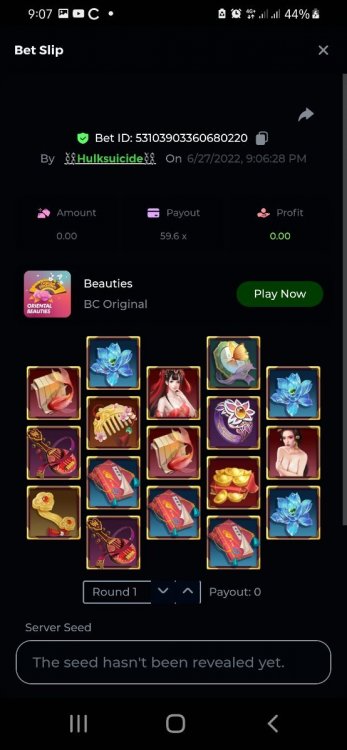 Screenshot_20220627-210746_Samsung Internet.jpg